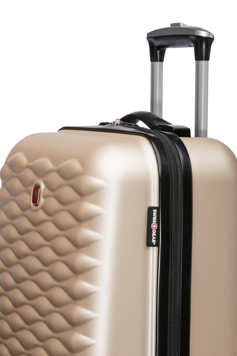 swiss air luggage